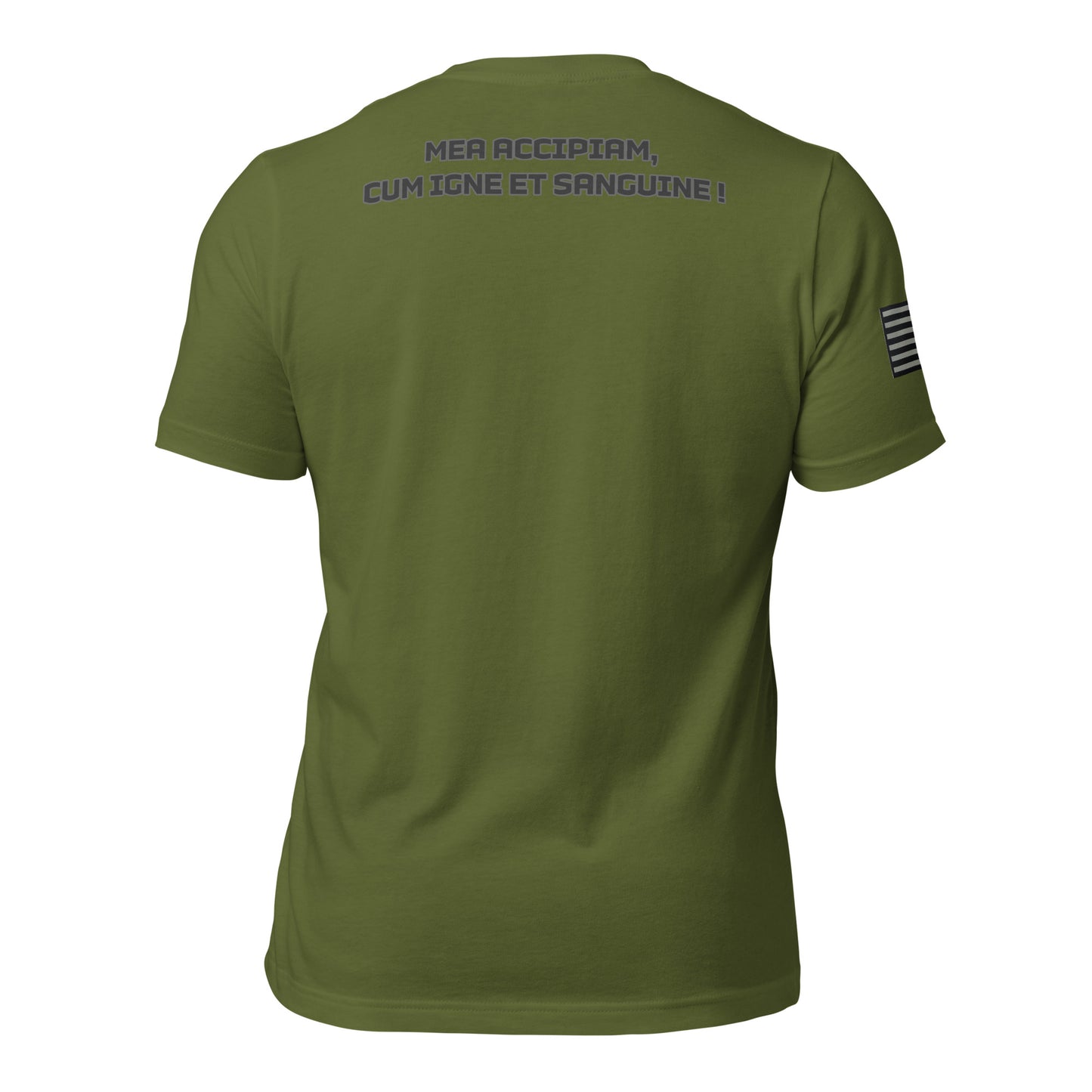 BNA LTD Fire and blood T shirt (Latin)